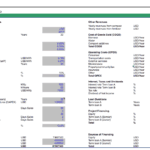 Financial overview chart displaying biogas plant assumptions, costs, and revenues.