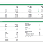 Financial metrics and KPIs for a biogas project, showing revenue and costs across different project years.