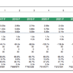 Key financial ratios table displaying projections for a biogas plant from 2017 to 2026.