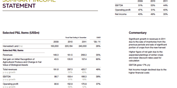 Mriya Financial Statement Analysis