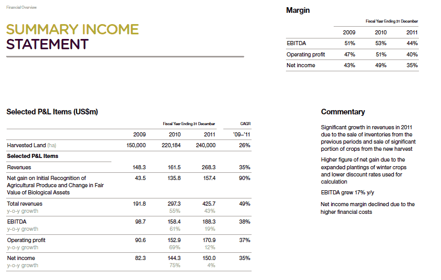 Mriya Financial Statement Analysis