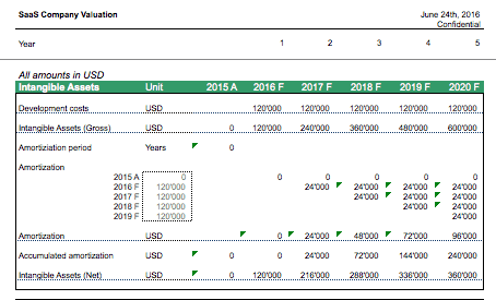 saas amortization schedule for intangible assets intangible asset amortization