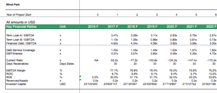 Wind Energy Financial Model