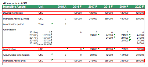 SaaS Development Costs and Amortization Schedule | eFinancialModels SAAS Development Costs