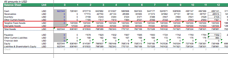 Balance Sheet Data for Fixed Assets in SaaS Company | eFinancialModels SAAS FIXED ASSETS