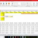 Intellectual Property Valuation Financial Model | eFinancialModels Excel model showing projected growth and royalty calculations for IP valuation.