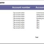 Bank Account Summary Template for Financial Analysis | eFinancialModels Bank account summary with types, numbers, and total amount.
