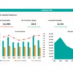 Financial Liquidity Dashboard Overview | eFinancialModels Financial dashboard displaying accounts receivable, payable, and turnover ratios.
