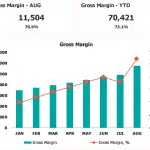 Monthly Gross Margin Analysis with Year-to-Date Comparison | eFinancialModels Monthly gross margin chart showing August at 76.9% and year-to-date at 73.1%.