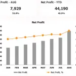 Monthly Net Profit Analysis for August | eFinancialModels Monthly net profit chart showing figures for AUG and YTD with trends.