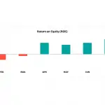 Monthly Return on Equity (ROE) Analysis | eFinancialModels Bar chart showing monthly Return on Equity (ROE) with fluctuations from Jan to Aug.