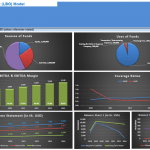 Leveraged Buy-Out (LBO) Financial Model Summary Graphs | eFinancialModels Graphs summarizing the financial structure and metrics of a Leveraged Buy-Out (LBO) model.