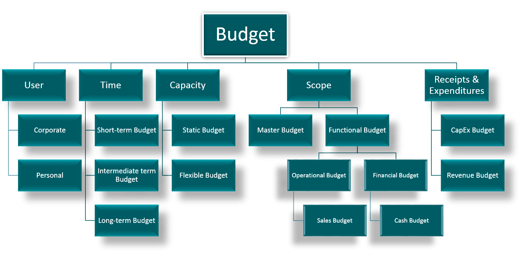 types of budget in accounting