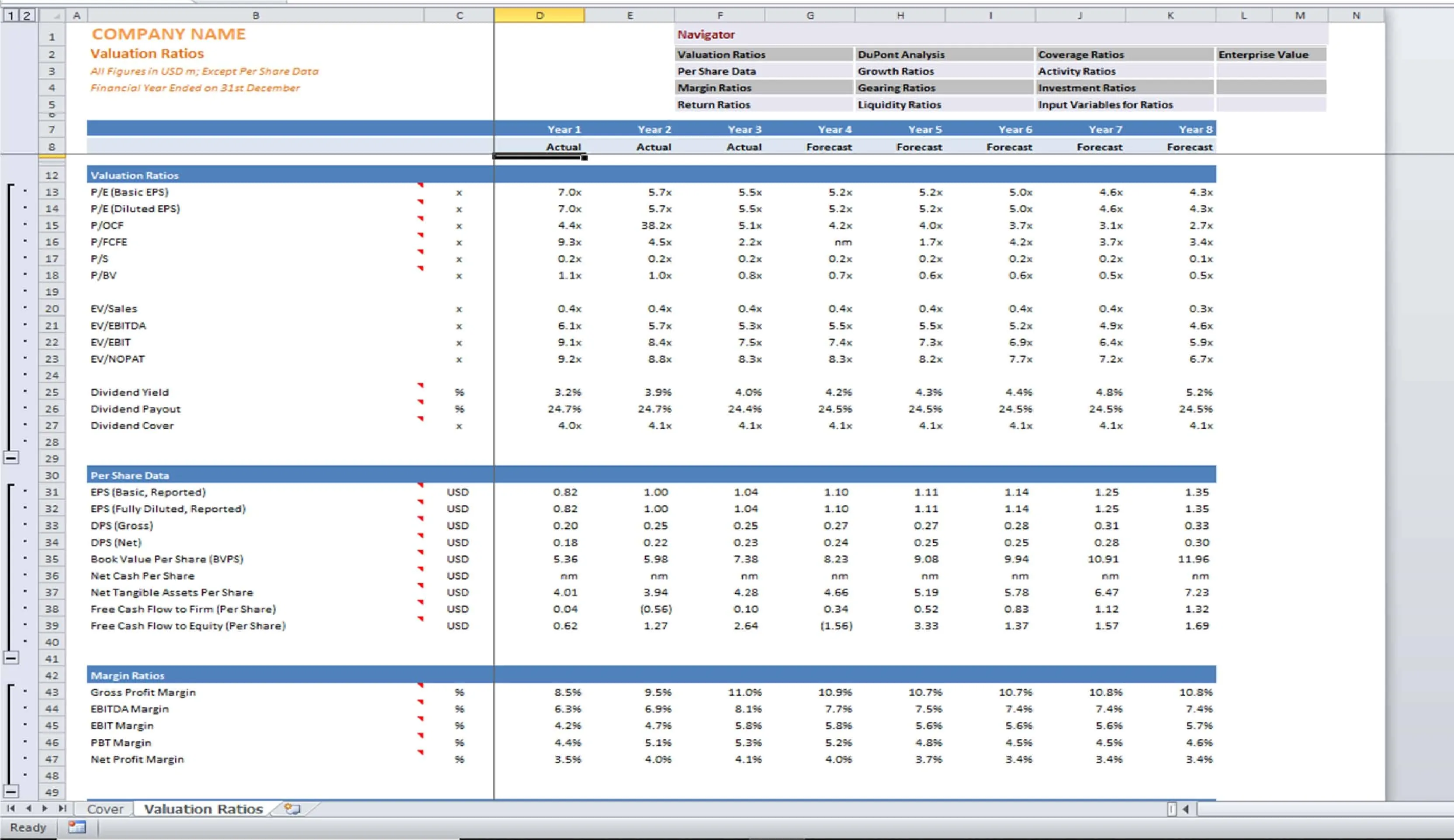 Financial Ratios Excel Template