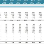 Monthly Cash Flow Statement for Rental Property | eFinancialModels Monthly cash flow overview showing rental income, vacancies, and other income items.