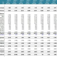 Self Storage - Real Estate Development Model | eFinancialModels