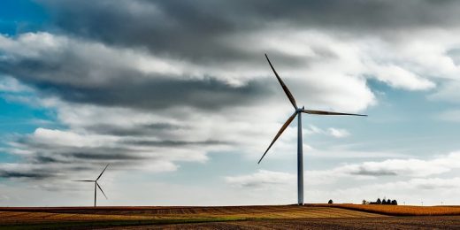 Wind Farm Development Model