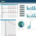 Financial projection dashboard with income and balance sheets, and project revenue visuals.