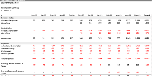 1 Year P&L, Balance Sheet, Cash Flow, and Breakeven Analysis