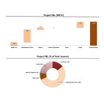 Project P&L analysis with bar graph of costs and pie chart of income distribution