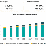 Monthly Cash Receipts Breakdown by Source | eFinancialModels Cash receipts breakdown chart showing revenue and other sources from Jan to Aug.