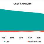 SaaS Cash Burn Dashboard: Monthly Cash Analysis | eFinancialModels SaaS cash burn dashboard showing monthly cash flow and burn rate