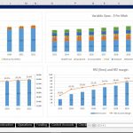 Financial Projections Overview (10-Year Forecast) | eFinancialModels Revenue, EBIT, and PAT forecasts visualized in multiple charts for a ten-year analysis.
