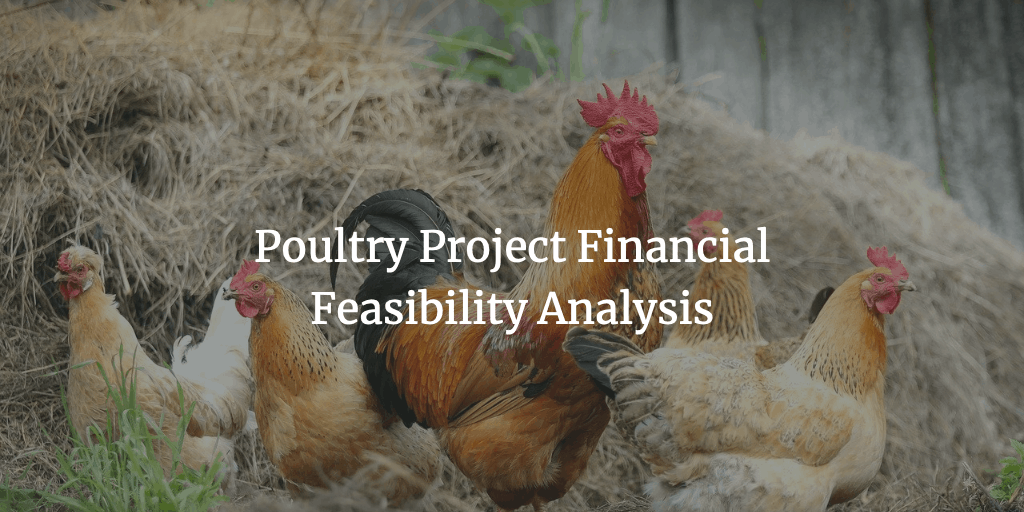 Poultry Project Financial Feasibility Model