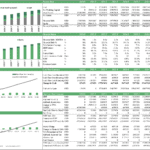 Financial summary chart for poultry project, including balance sheet, cash flow, and ratios.
