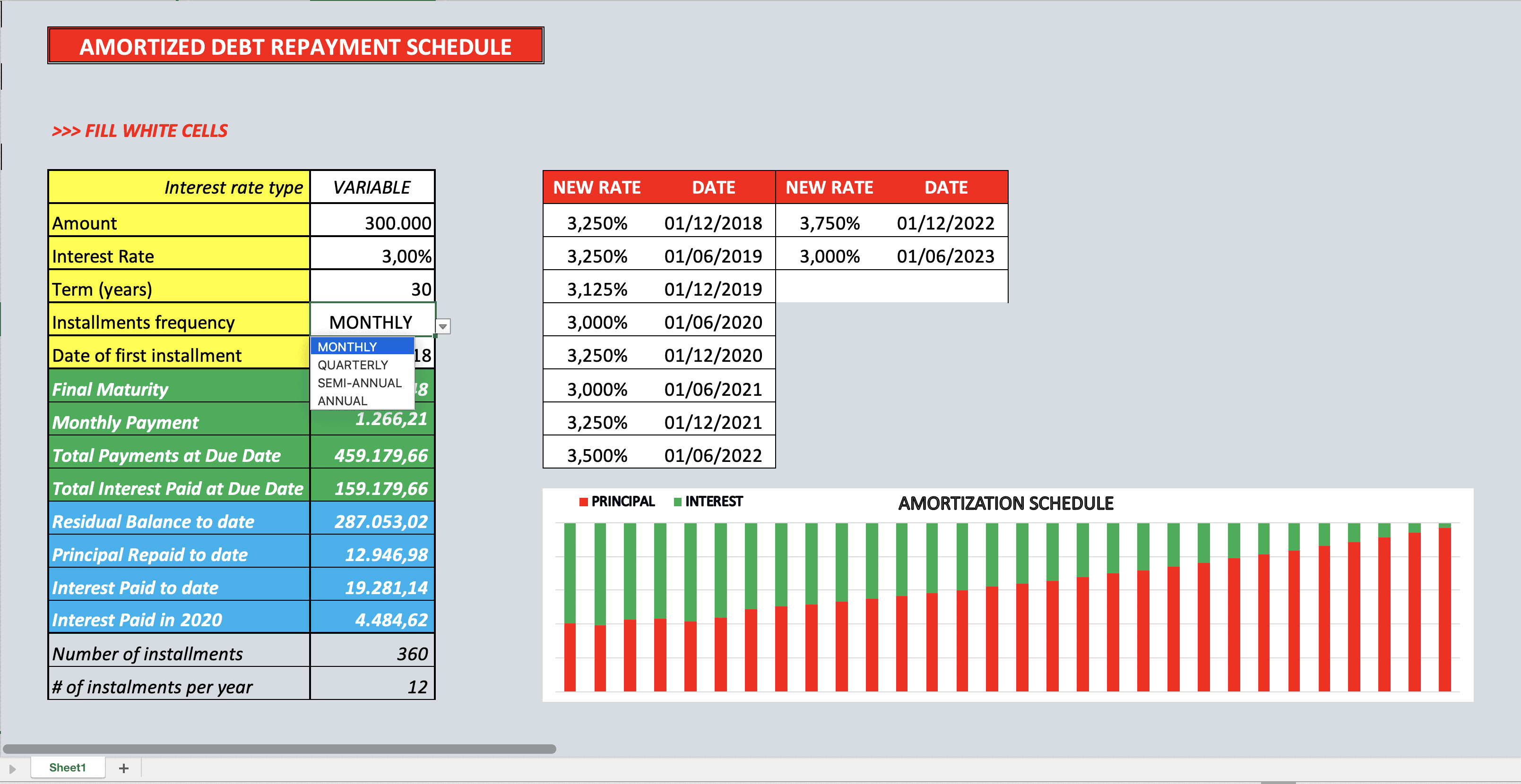 Amortized Debt Repayment Schedule