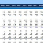 Monthly Profit and Loss Statement Overview | eFinancialModels Profit and Loss statement showing monthly revenue, expenses, and net income over a 12-month period.