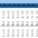 Monthly Balance Sheet Overview for Financial Analysis | eFinancialModels Balance sheet showing current assets, non-current assets, and current liabilities