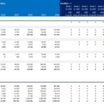 Revenue model showing user statistics and in-app advertising revenue 2020-2024.