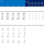 Revenue model displaying yearly revenue and customer metrics for financial analysis.
