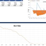 Cash flow table displaying net cash activities and DCF valuation metrics, with a burn rate graph.