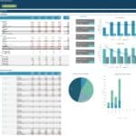 Financial Dashboard for ABC Hydroponics Ltd Analysis | eFinancialModels Financial dashboard showcasing income statement, balance sheet, and key ratios
