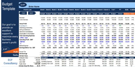 Monthly budget template showing revenue, expenses, and earnings projections.