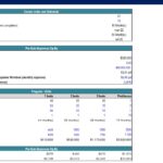 Condo Units and Pre-Sale Financial Overview | eFinancialModels Financial model showing condo unit details and pre-sale expenses.