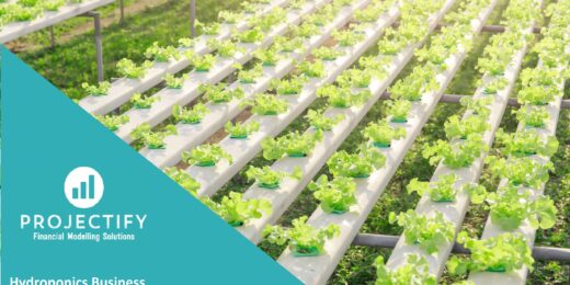 Hydroponics setup illustrating potential for financial projection and valuation in agriculture.