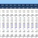 Monthly Financial Projection Model Example | eFinancialModels Monthly financial model showing revenue, expenses, and profit analysis with AOP comparison.