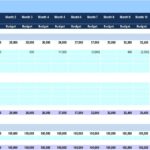 Monthly Balance Sheet Details for Financial Modeling | eFinancialModels Balance sheet template showing prepaid accounts and share capital over monthly forecasts.