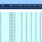 Employee Salary Input Template for Financial Modeling | eFinancialModels Employee salary entry sheet for financial planning and analysis.