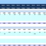 Balance Sheet Details for Accrued Payables & Borrowings | eFinancialModels Balance sheet showing budgeted and actual figures for payables and short-term borrowings.