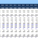 Monthly Profit & Loss Statement Overview | eFinancialModels Profit & Loss statement with monthly budget vs. actual figures and variance analysis.