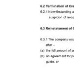 Responsibilities and timelines for credit management roles after payment due dates.