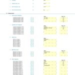 Setup interface for financial model inputs including company name, costs, and borrowing details.