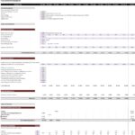 RDA Consultat Financial Model Assumptions Overview | eFinancialModels Overview of financial model assumptions including revenues, costs, and capital expenditures in Excel format.