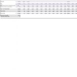 Company Feasibility Analysis Table Overview | eFinancialModels Financial feasibility analysis showing cash flows, NPV, and IRR over multiple fiscal years.