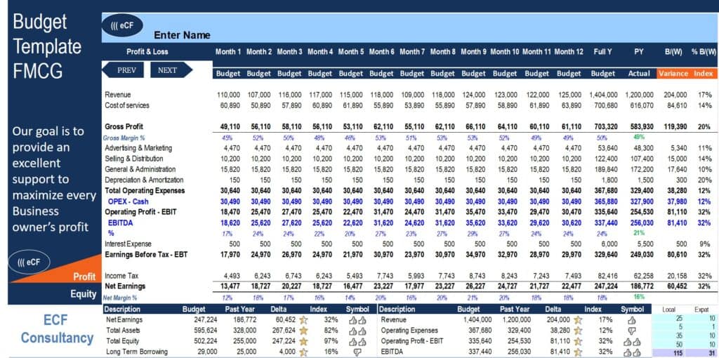 FMCG Financial Templates | eFinancialModels