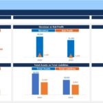 Financial dashboard displaying Revenue vs Gross Profit, Current Assets vs Current Liabilities, and Total Assets vs Total Liabilities for 2019 and 2020.